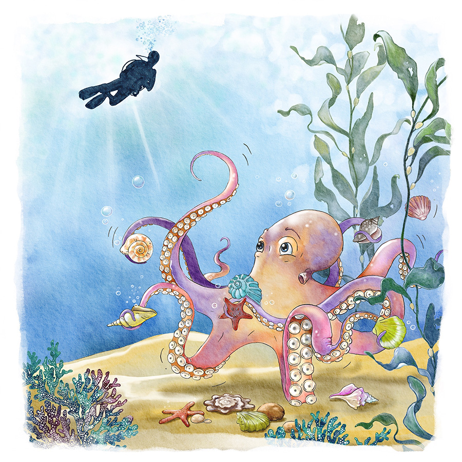 Octopus watercolour illustration