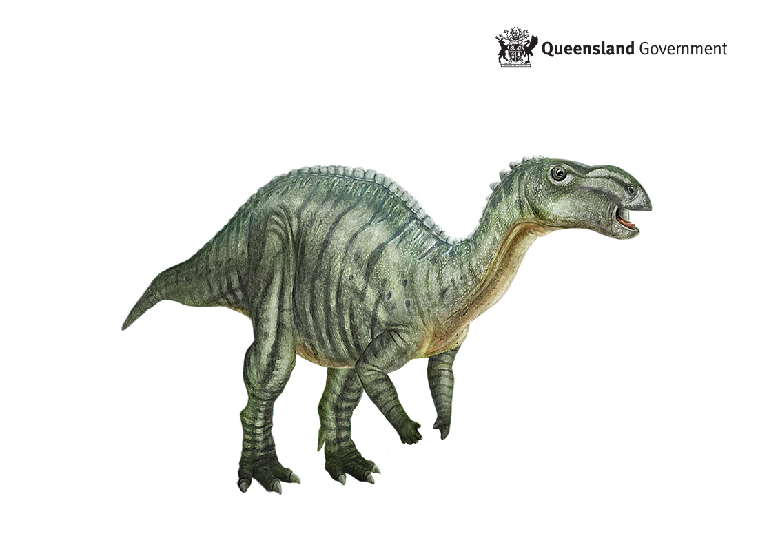 Dinosaur illustration for QLD State Fossil Emblem